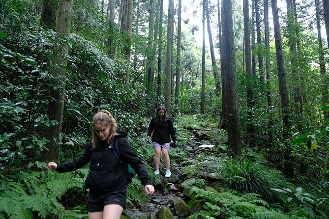 Hike Japan Heritage Hakone Hachiri (Half Day) - Key points worth knowing before you go