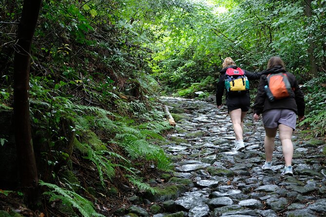 Hike Japan Heritage Hakone Hachiri (Half Day) - Price and value: what the $114.95 covers, and what it doesn’t