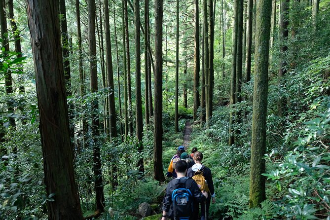 Hike Japan Heritage Hakone Hachiri (Half Day) - Fitness and fit: who will love this hike, and who might want to adjust