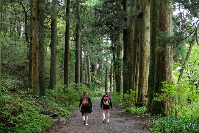 Hike Japan Heritage Hakone Hachiri (Half Day) - Hatajuku wood craft village, where the route turns cultural