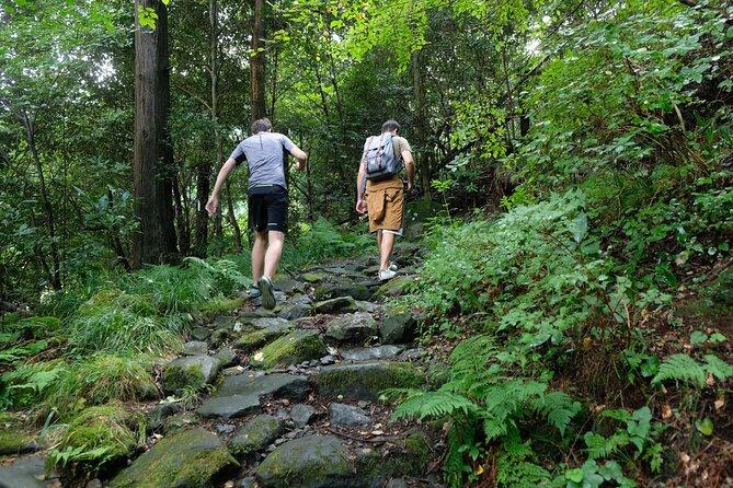Hike Japan Heritage Hakone Hachiri with certified mountain guide - Stop 1: Hakone Amazake Tea House and the craft village start