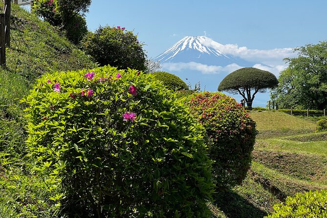 Hike Japan Heritage Hakone Hachiri with certified mountain guide - Stop 2: Lake Ashi shoreline walk, Heiwa no Torii, and Mt Fuji angles