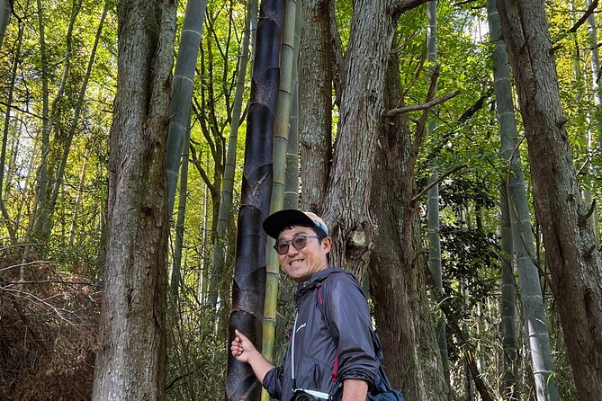 Hike Japan Heritage Hakone Hachiri with certified mountain guide - Stop 3: Cedar avenue to the Hakone Checkpoint, where travel had rules