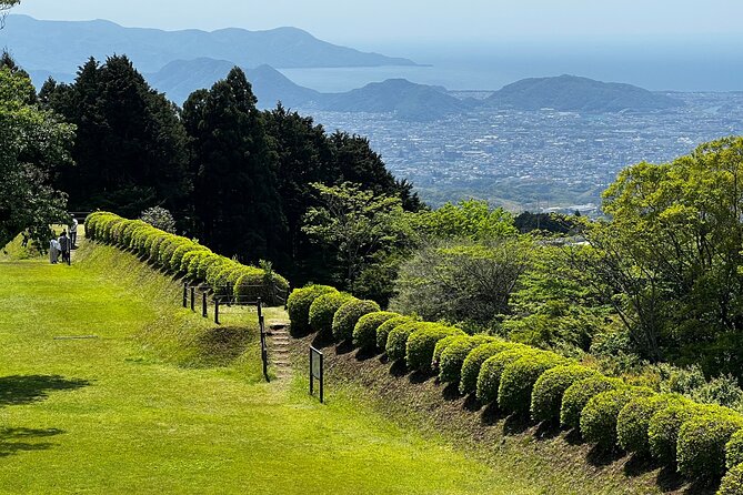 Hike Japan Heritage Hakone Hachiri with certified mountain guide - Stop 4: Hakone-machi lunch, then a bus hop to keep momentum