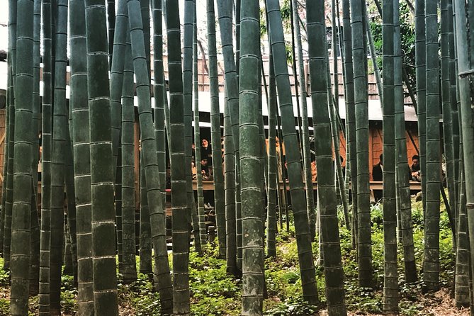 Historic Kamakura: Temples, Shrines and Street Food Private Walking Tour - Food and drinks included: how this tour earns its value