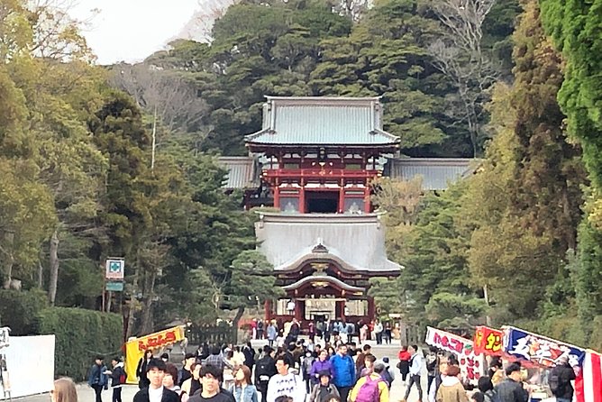 Historic Kamakura: Temples, Shrines and Street Food Private Walking Tour - The guide makes the difference, especially on a walking day