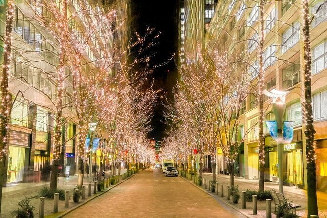 Holiday Lights Walk Tour Hibiya Midtown Tokyo Station Marunouchi - Price and value: $26 for a guided 2.5-hour light route