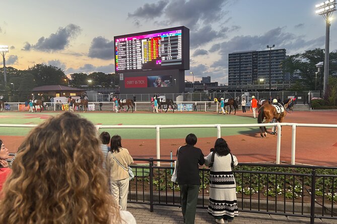 Horse Racing Tour with Local Fans in Tokyo, Oi Racecourse - Key Things You Will Notice at Oi Racecourse