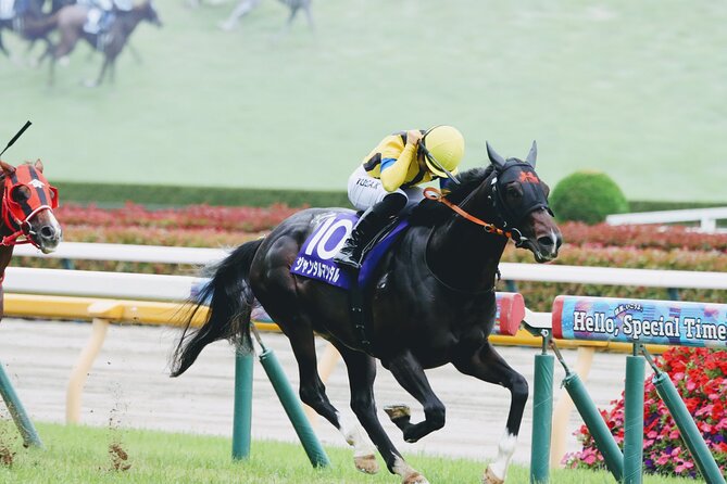 Horse Racing Tour with Local Fans in Tokyo Racecourse - Key Points You Should Know Before You Go