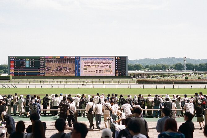 Horse Racing Tour with Local Fans in Tokyo Racecourse - Getting Oriented Fast With an Easy Horse Racing Starter Lesson