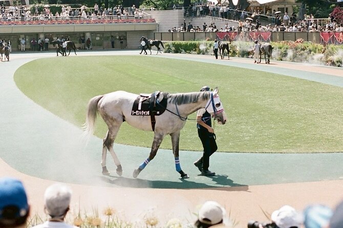 Horse Racing Tour with Local Fans in Tokyo Racecourse - Food, Sake, and Street Snacks During the Races
