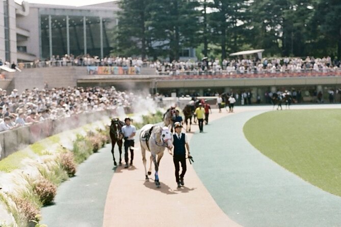 Horse Racing Tour with Local Fans in Tokyo Racecourse - Time on the Paddock, Plus a Real Sense of Where You Are