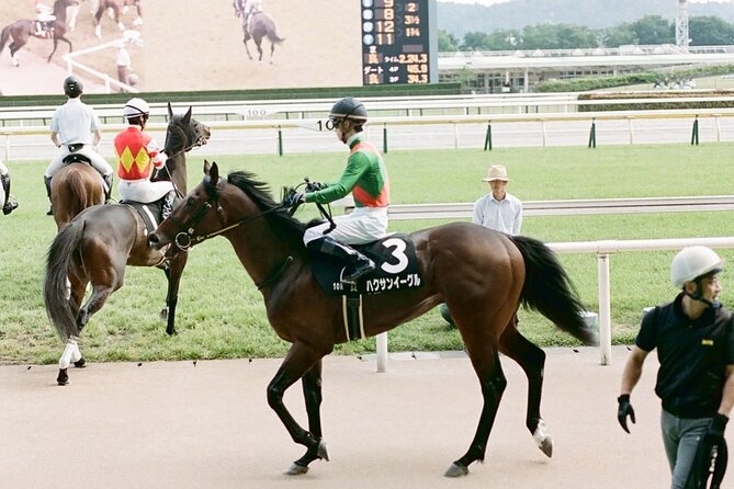 Horse Racing Tour with Local Fans in Tokyo Racecourse - How Much Is This Really Worth at $100?