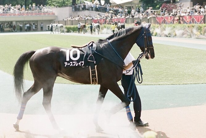 Horse Racing Tour with Local Fans in Tokyo Racecourse - Who Should Book This Horse Racing Tour, and Who Might Not