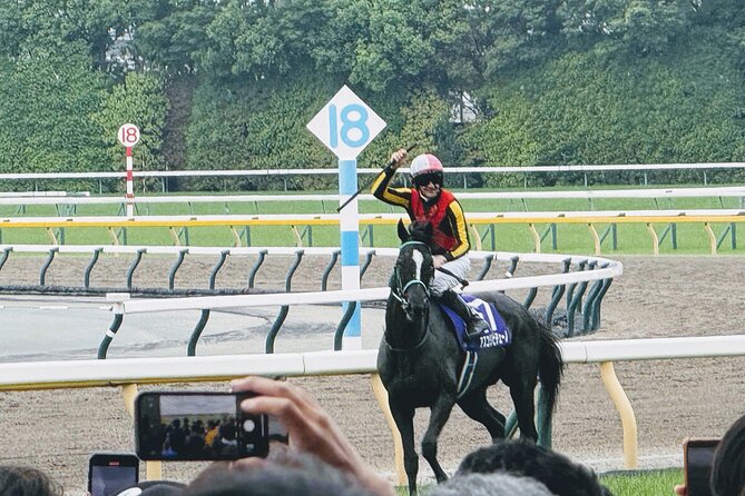Horse Racing Tour with Local Fans in Tokyo Racecourse - Feeling the Local Fan Energy Without Translating Everything