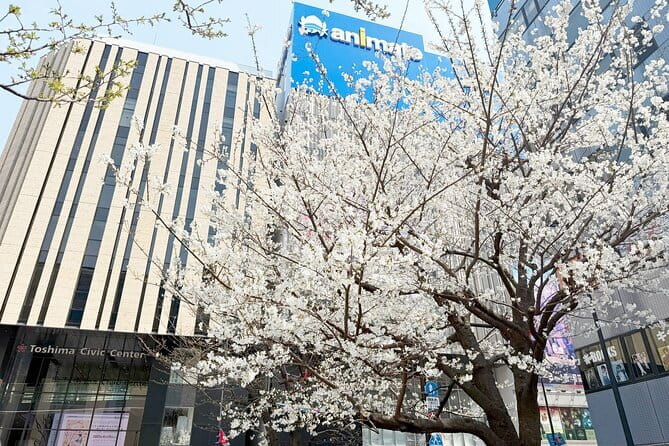 Ikebukuro Anime and Game Culture Experience Tour - How this 3-hour loop stays fun, not rushed