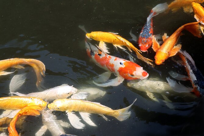 Imperial Palace East Garden and Edo Castle Walking Tour in Tokyo - What to wear, bring, and plan for a smooth 2.5-hour walk