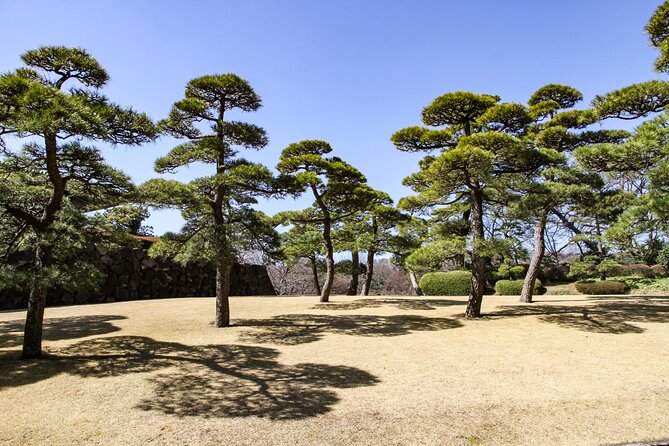 Imperial Palace to Tokyo Station Historical Walking Tour - Tokyo Station red-brick finale, a great place to end your day