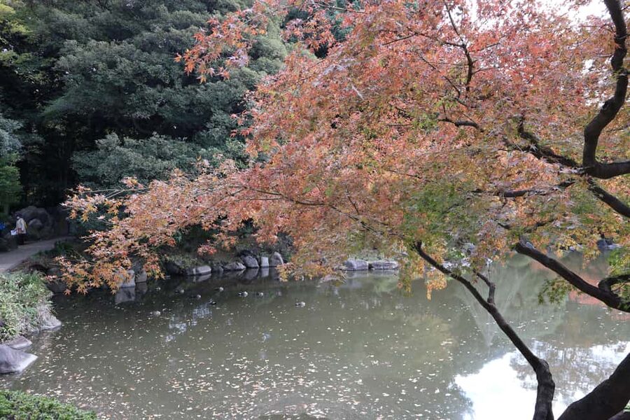 Imperial Palace Tour: Discover Samurai History with a Guide - Timing and Pacing: How 90 Minutes Feels Like a Real Win