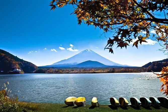 Japan's Best Mount Fuji Tour - Returning to Shinjuku: Timing, Traffic, and Staying Flexible