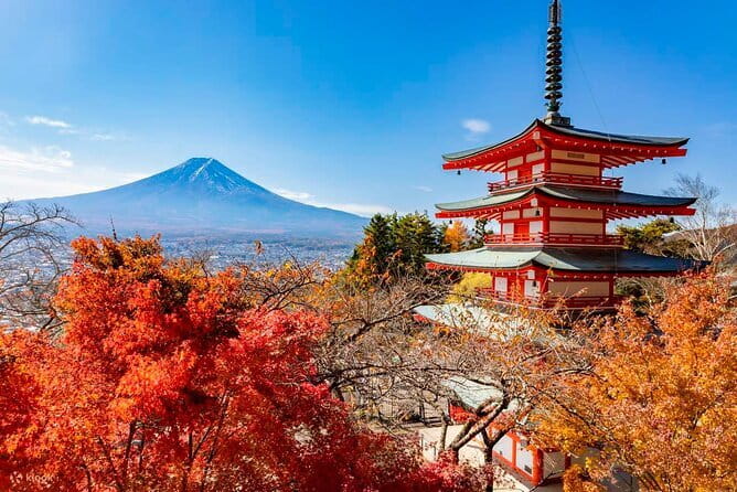 Japan's Best Mount Fuji Tour - Kogakuin University Stop: Easy Check-In and a Calm First Beat