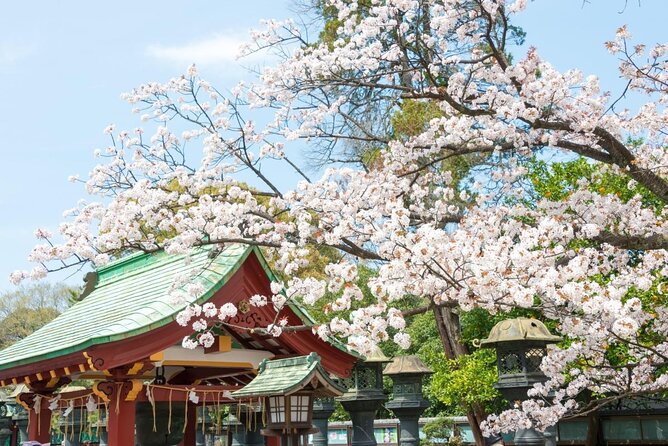 Japanese Food Experience Night Tour in Ueno - Quick Reasons This Ueno Night Tour Works