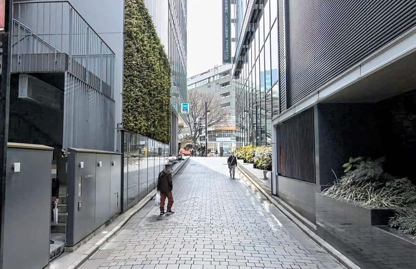 Kabukicho Macabre Tour - the Real Tokyo Vice - Meet at Kabukicho Tower’s Starbucks, Then Follow the Stories