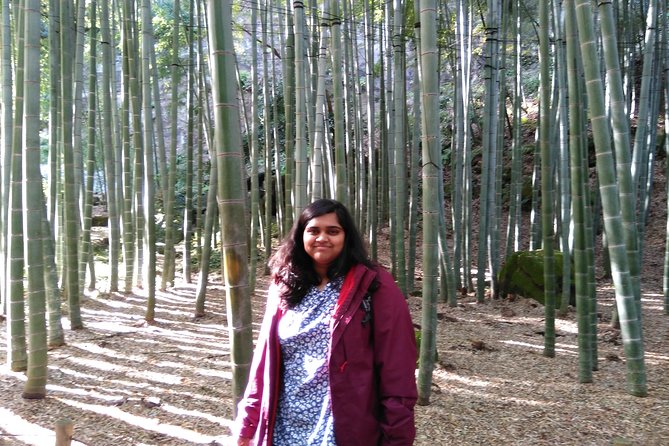 Kamakura 4hr Private Trip with Government-Licensed Guide - Hasedera Temple: the viewpoint that makes the climb worth it