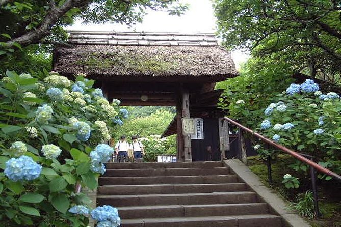Kamakura 8 hr Private Walking Tour with Licensed Guide from Tokyo - Who should book this Kamakura walking tour