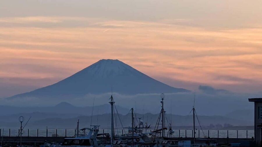 Kamakura: A Journey Through Medieval Japan - Enoshima for the private 8-hour option: holiness, kitsch, and seaside drama