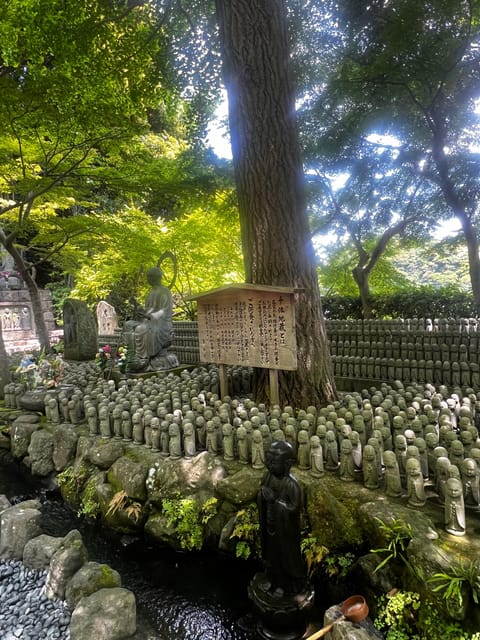 Kamakura and Enoshima: Private Guided Day Tour with Vehicle - Tsurugaoka Hachimangu Shrine and Komachi Dori Street Food Stops