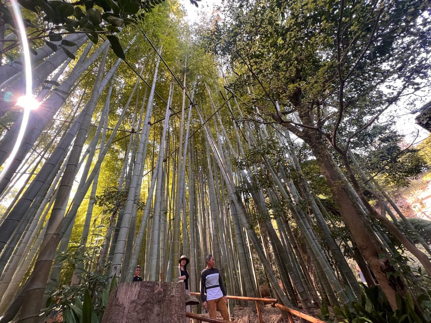 Kamakura and Enoshima: Private Guided Day Tour with Vehicle - Great Buddha at Kōtoku-in, Then Hase-dera’s Coastal Temple Gardens