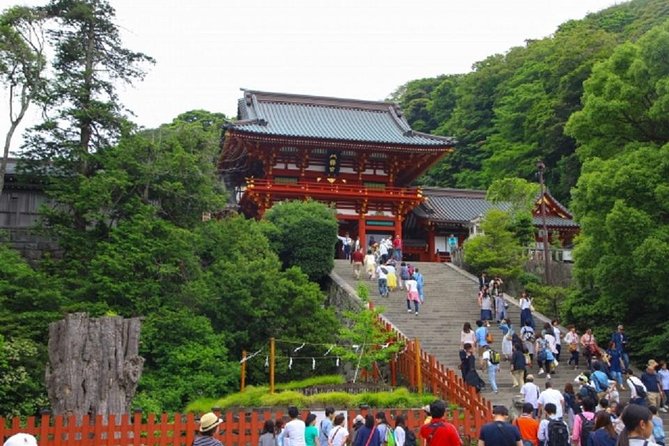 Kamakura Bamboo Forest and Great Buddha Private Tour - Kotoku-in Great Buddha: history you can actually connect to