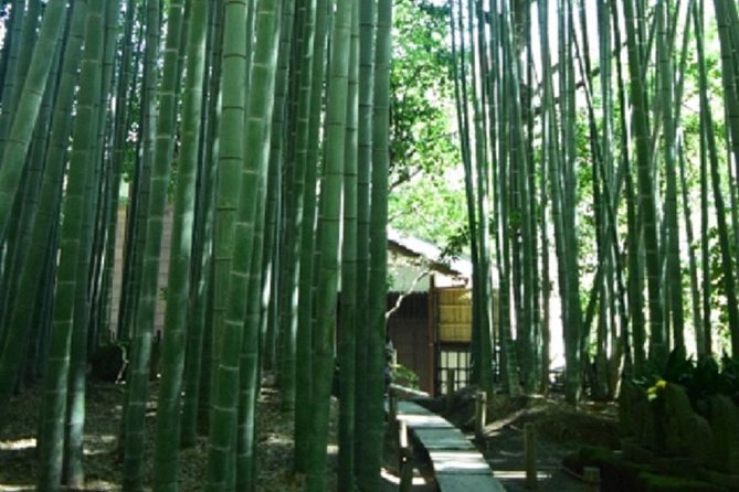 Kamakura Bamboo Forest and Great Buddha Private Tour - Walking, timing, and weather reality for a 9-hour Kamakura loop