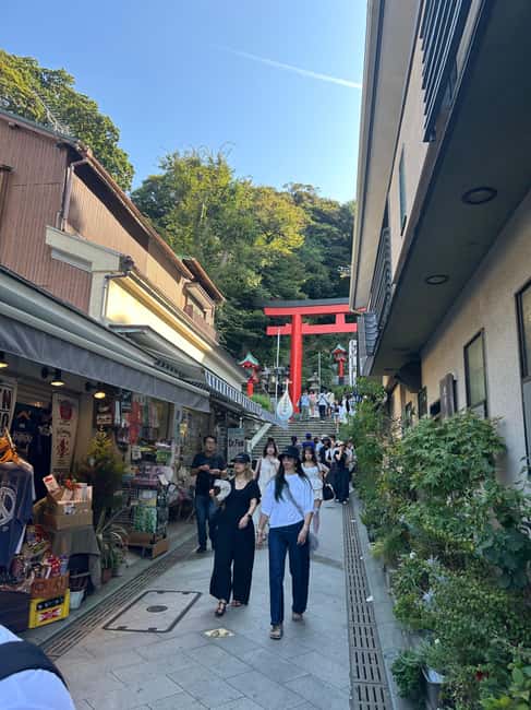 Kamakura & Enoshima: Great Buddha, Shrines and Ocean Views - Why Kamakura and Enoshima together is such a smart half-day