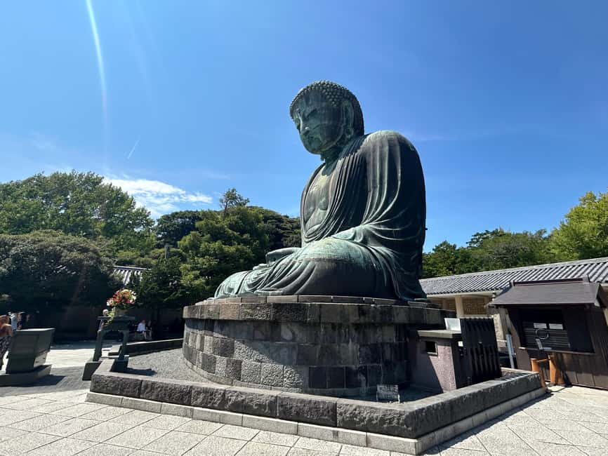 Kamakura & Enoshima: Great Buddha, Shrines and Ocean Views - Price and value: what your $50 buys on a 5-hour day