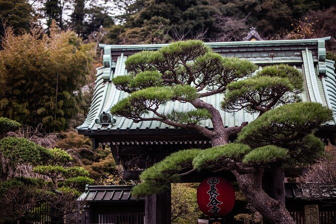 Kamakura Full-Day Private Tour from Tokyo (Customizable) - Key highlights you will feel during the day