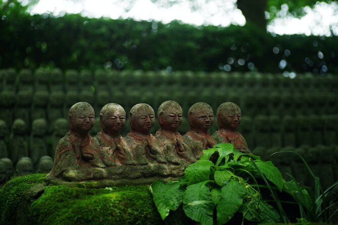 Kamakura Full-Day Private Tour from Tokyo (Customizable) - Hasedera Temple, the Kannon statue plus an ocean-view deck