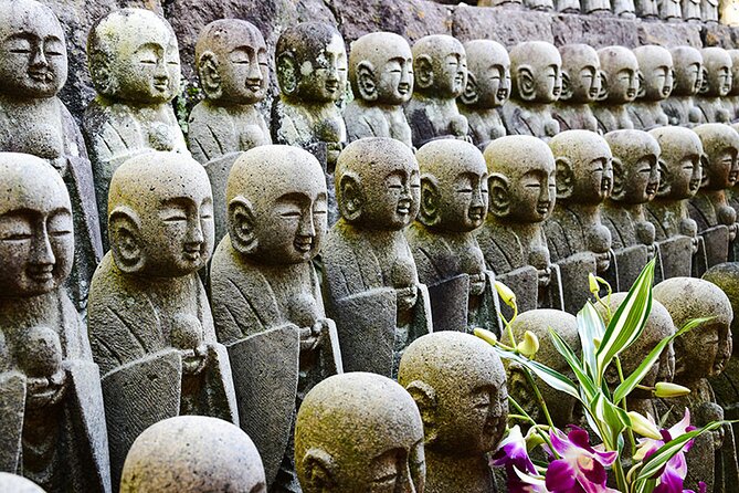 Kamakura Full Day Walking Tour with Local Expert Guide and Pickup - Meigetsuin Hydrangea Temple (Ajisaidera): Seasonal Beauty with a Quiet Mood
