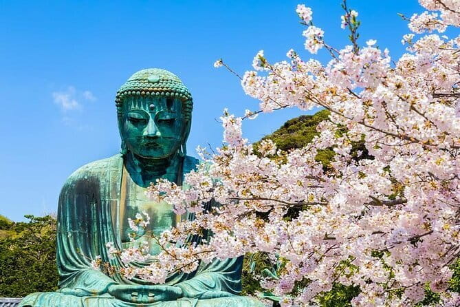 Kamakura Great Buddha and Enoshima with hotel Pickup small group - Key highlights at a glance