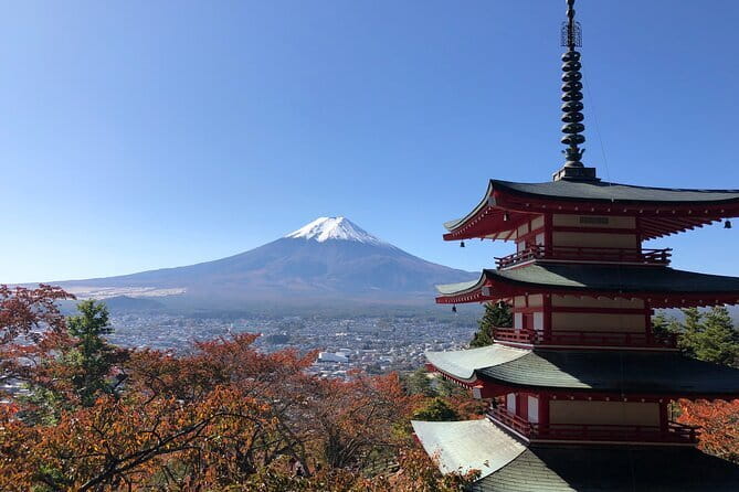 Kamakura Great Buddha and Enoshima with hotel Pickup small group - Tsurugaoka Hachimangu Shrine: 12th-century importance, 1.5 hours to feel it