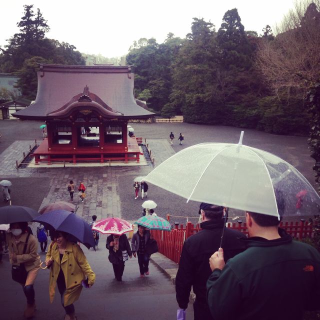 Kamakura: Great Buddha, Hase Temple, & Komachi Street Tour - Price and logistics, what you really pay for