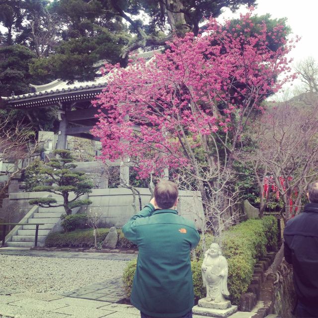 Kamakura: Great Buddha, Hase Temple, & Komachi Street Tour - Enoden ride time, the small local train break you will remember