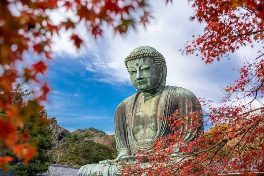 Kamakura Half Day Tour with a Local Expert Guide - Tsurugaoka Hachimangu Shrine: A Big Name, the Right Way