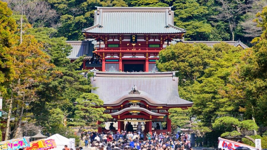 Kamakura Half Day Tour with a Local Expert Guide - Zen Temples, Gardens, and the Buddha Stop