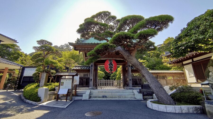 Kamakura Half Day Tour with a Local Expert Guide - Language Options: Comfort Matters in Temple Country