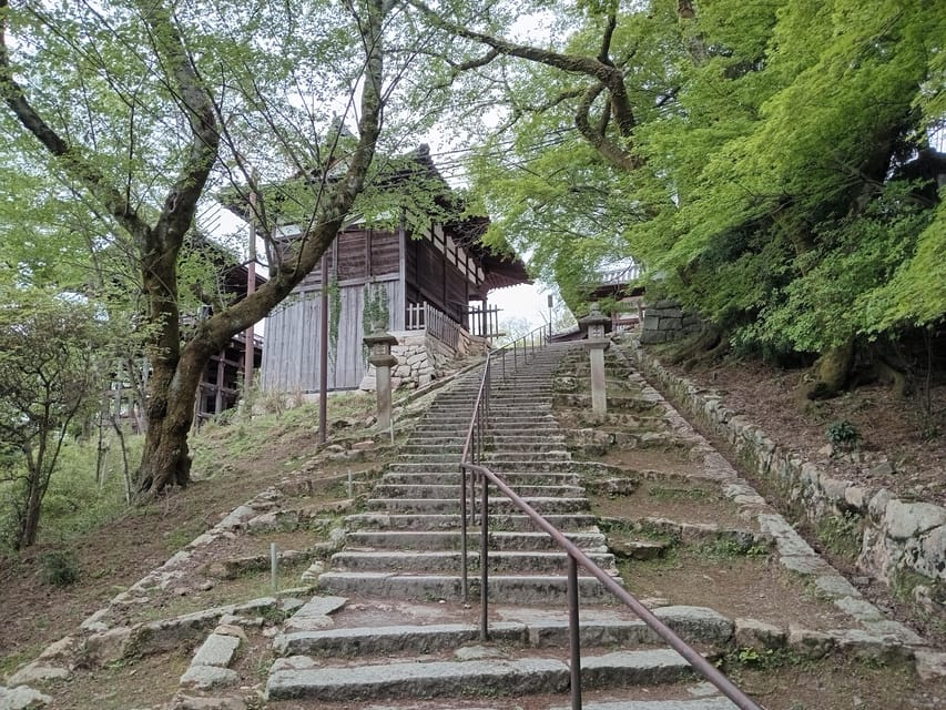 Kamakura Half Day Tour with a Local Expert Guide - Who This Tour Fits Best (and Who Might Want Something Else)