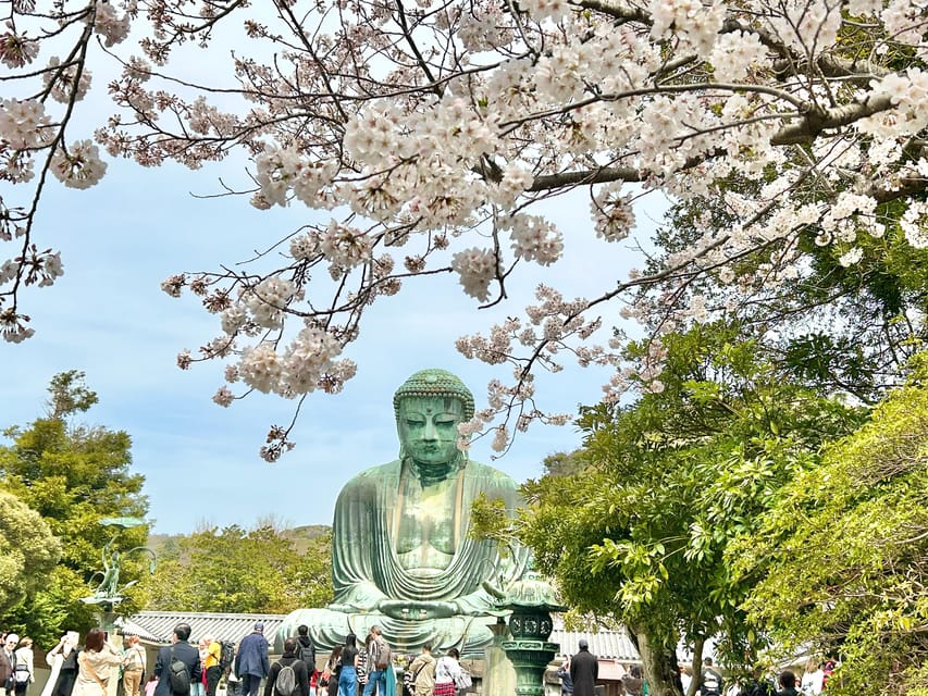 Kamakura: Half day Walking tour & Japanese sweets - Tsurugaoka Hachiman-gu: samurai-era traces in Kamakura’s center