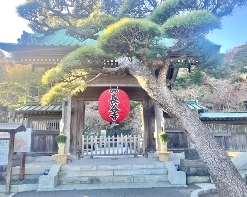 Kamakura: Half day Walking tour & Japanese sweets - Komachi Dori for tea, then real shopping vibes