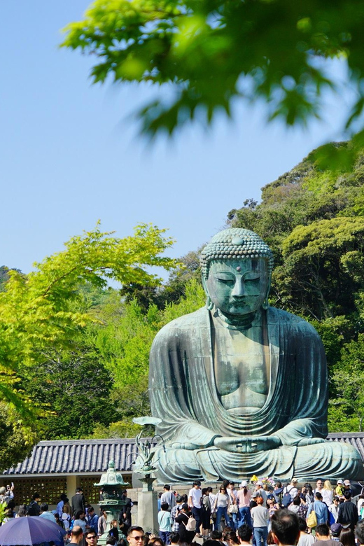 Kamakura Half Day Walking Tour with Local Experience - The Enoden coastal ride: the best reason to do this tour as a group